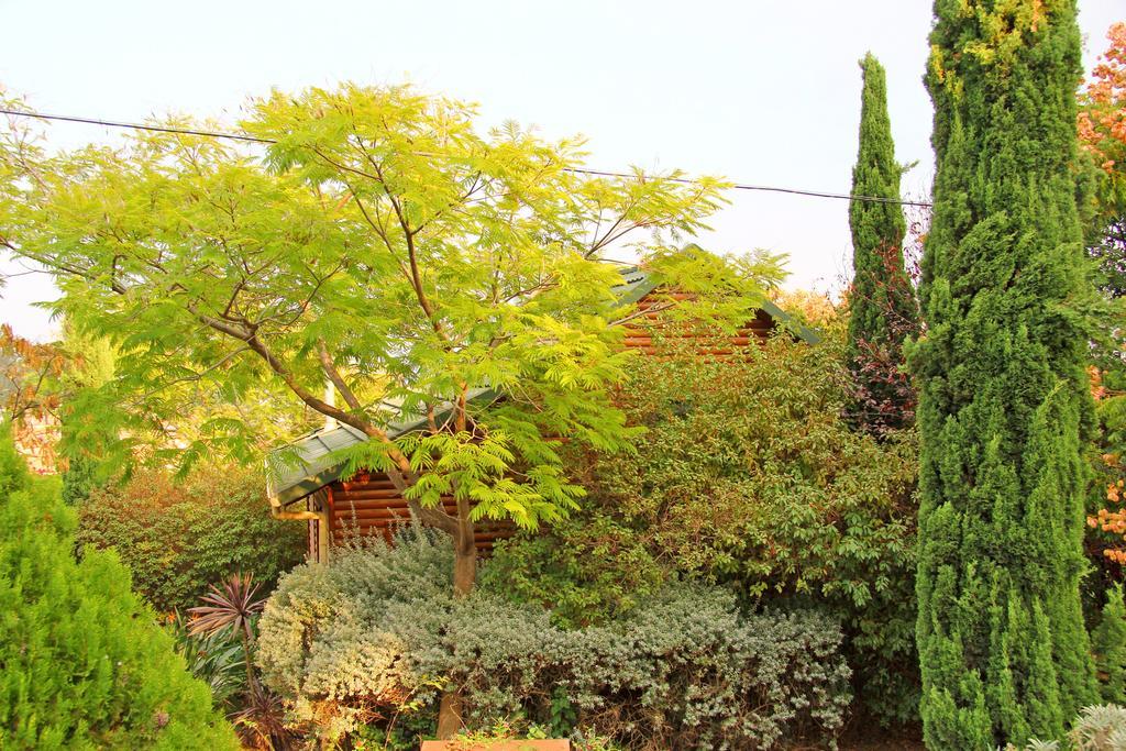 Rosh Pinat Noy Villa Exterior photo