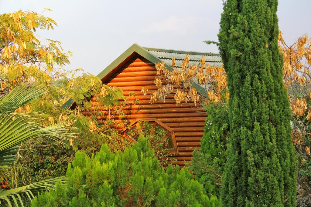 Rosh Pinat Noy Villa Exterior photo